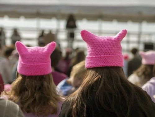 pussy hats